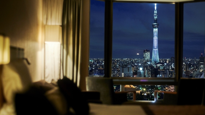 浅草ビューホテル 宿泊プラン一覧 楽天トラベル 浅草ビューホテル 宿泊プラン一覧 楽天トラベル